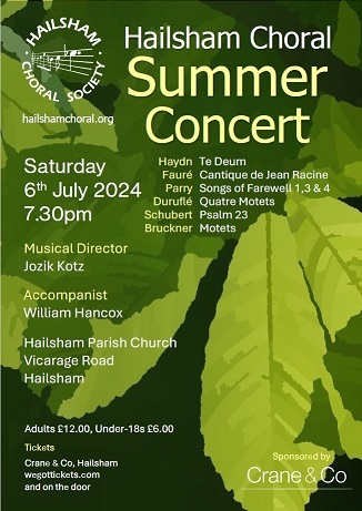 Summer concert poster